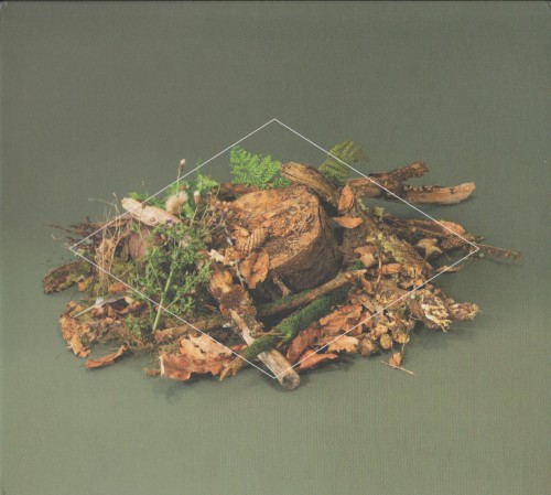 Forest Floor by Fergus McCreadie album cover