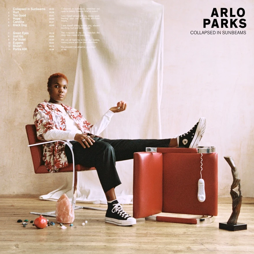 Collapsed In Sunbeams by Arlo Parks album cover