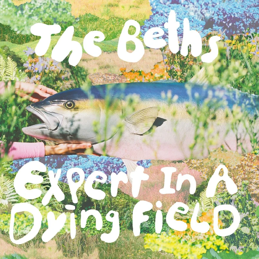 Expert In A Dying Field by The Beths album cover