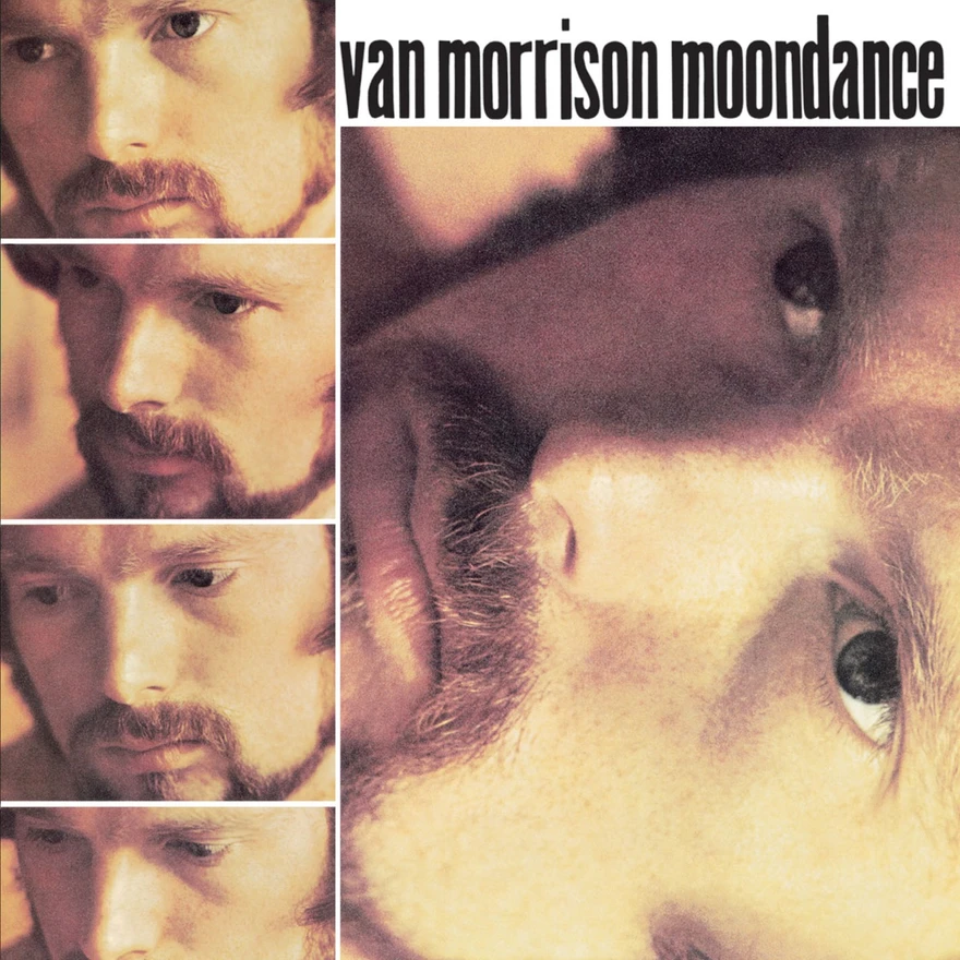 Moondance by Van Morrison album cover